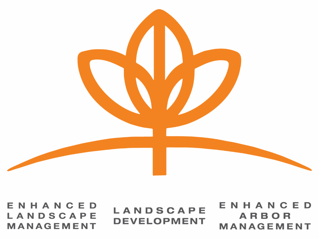 Enhanced Landscape New Logo